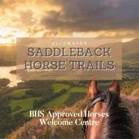 Ullswater saddleback horse trails