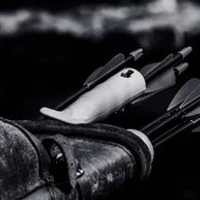 Silver Swords Armories