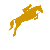 Kirkfields Equestrian Centre