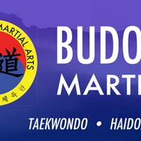 Budo South Martial Arts Club