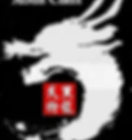 Northern Black Dragon Martial Arts