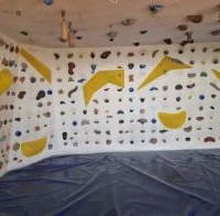 Climbing Wall Spider