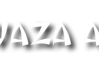 Waza Aïkido