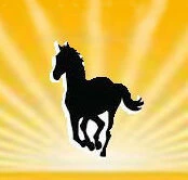 Sunshine Riding School