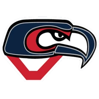 Surrey Eagles