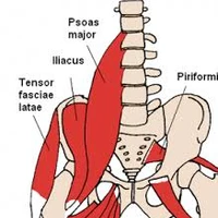 My Pilates Exercises