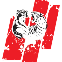 Academia Arena Combate