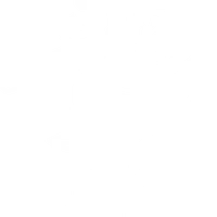 Forge Female Fitness