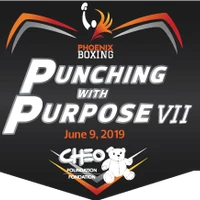 Phoenix Boxing Academy