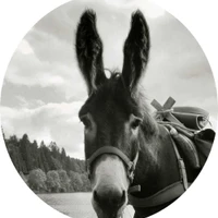 Rando Âne Jura