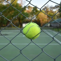 Mount Pleasant Tennis Club