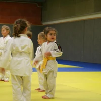 Kodokan Gemozac
