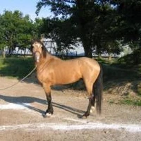 Stud D'uranie