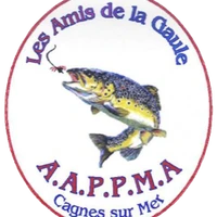 Les Amis de la Gaule