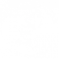 New Forest Golf Club