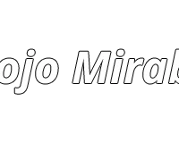 Dojo Mirabeau