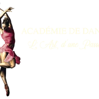 Dance Academy - Art D'une Passion