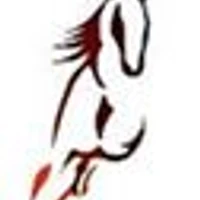 Harding Heights Ranch Ltd.