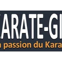 Academy Karate And Disciplines Related De Chevigny Saint-Sauveur