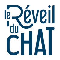 Le Réveil Du Chat