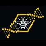 Crossfit Central Manchester