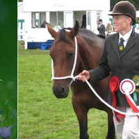 Messrs Sibley Merrie Stud