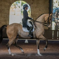 Centura Riding School