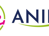 Animis Racing Team