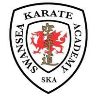 Swansea Karate Academy
