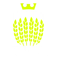 Regent Park Disc Golf Course