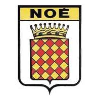 Noé Carbonne Basket