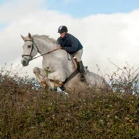 Ballyjennings Stables