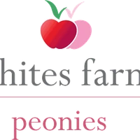Whites Farm Swimming Pool