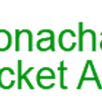 Dronacharya Cricket Academy