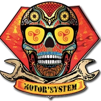 MOTOR'System