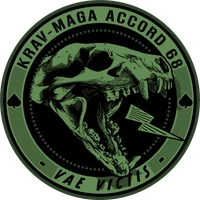 Krav Maga Accord 68