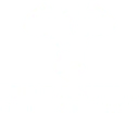 Prime Anatomy Fitness