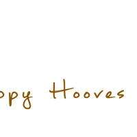 Happy Hooves Riding Centre