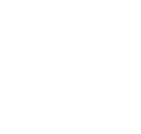 Academy of Lions