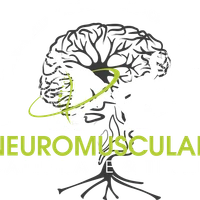 Neuromuscular Calibrate & Train