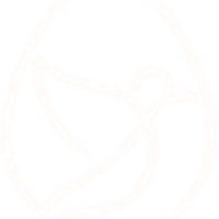 Wellnest Health