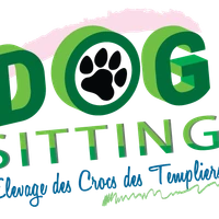 Dog Sitting Nice