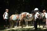 Poney Club Des Jalles