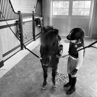 Heart Horse Academy