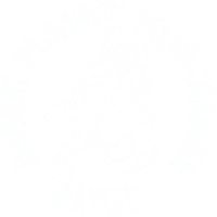 ASCEM Plongée Lyon