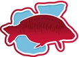 Cherry Lakes