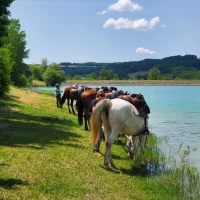 Gite Equestrian Ranch du Bel Air