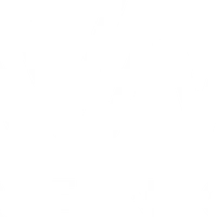 MVMT Strength