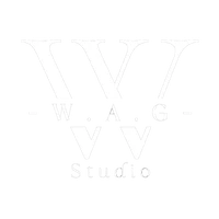 Wag Studio Dance - Ballet School Lille