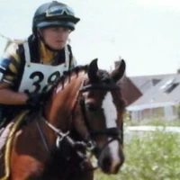 Gallop View Stables